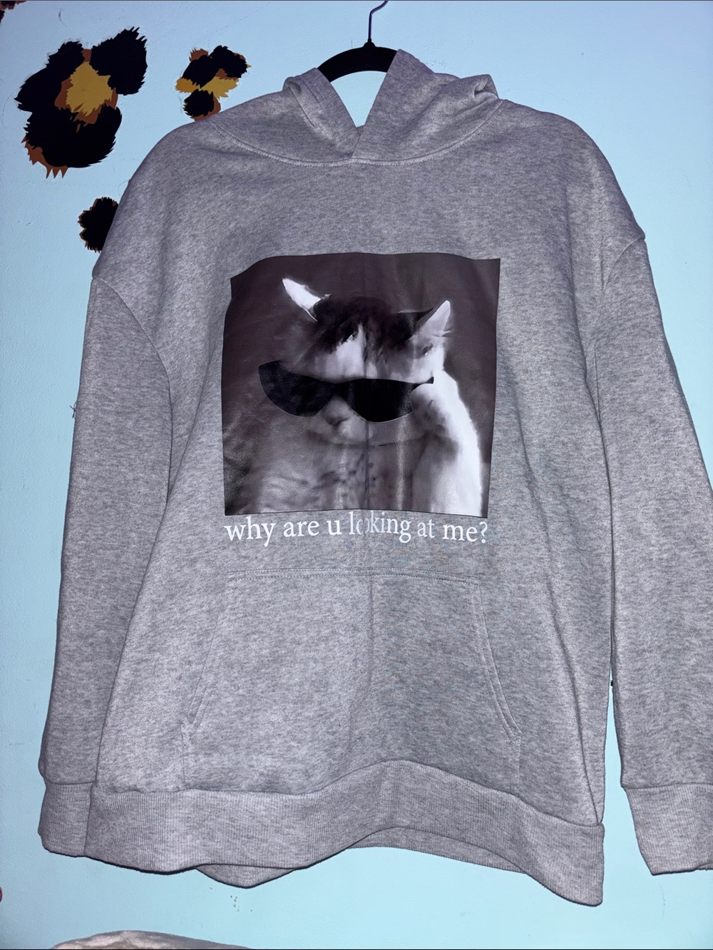 Large Graphic Cat Hoodie - “Why Are U Looking At Me?"